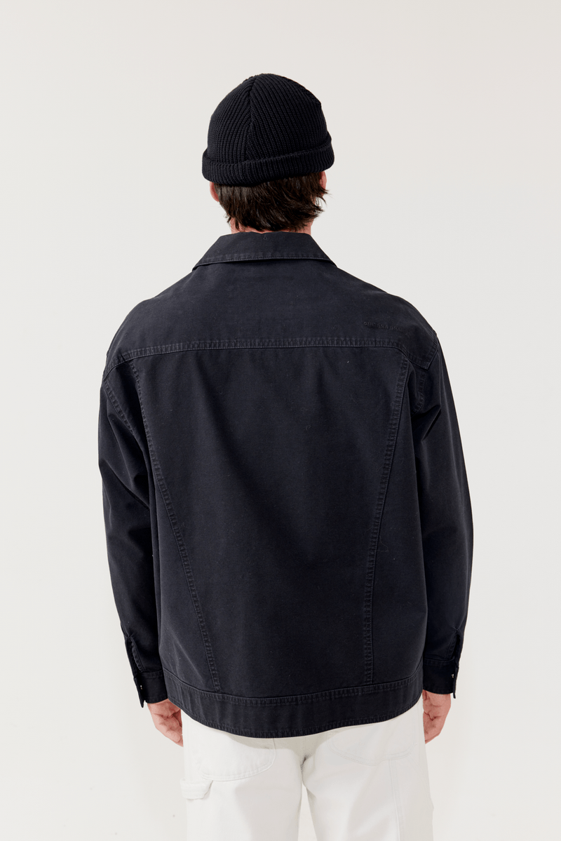 Parka Amolops