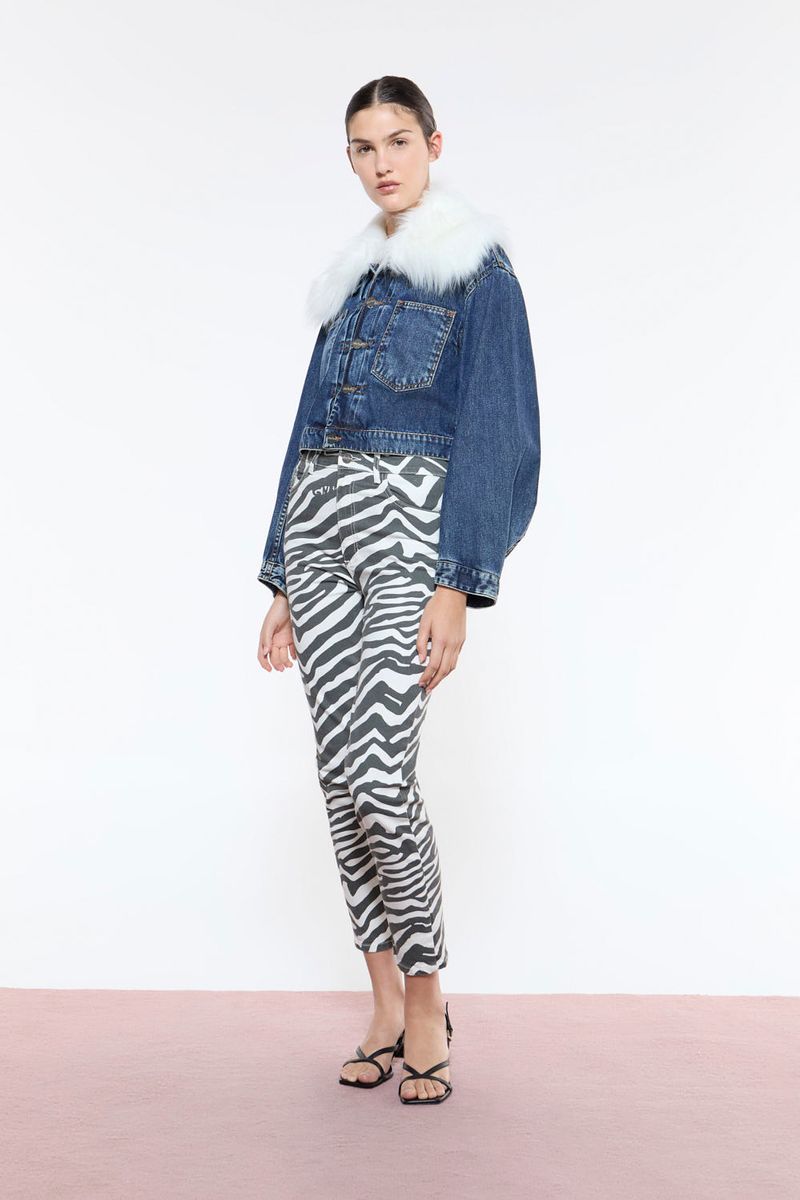 Campera-Daisy