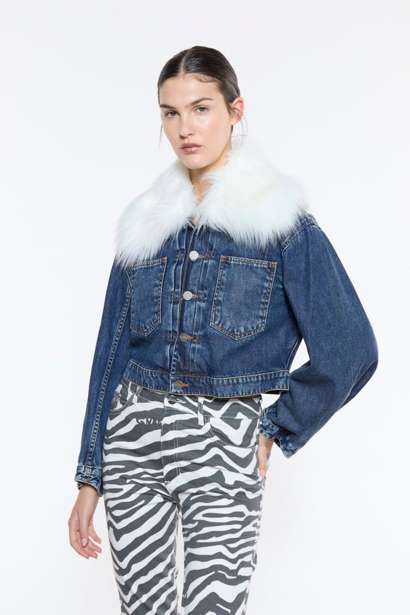 Campera-Daisy