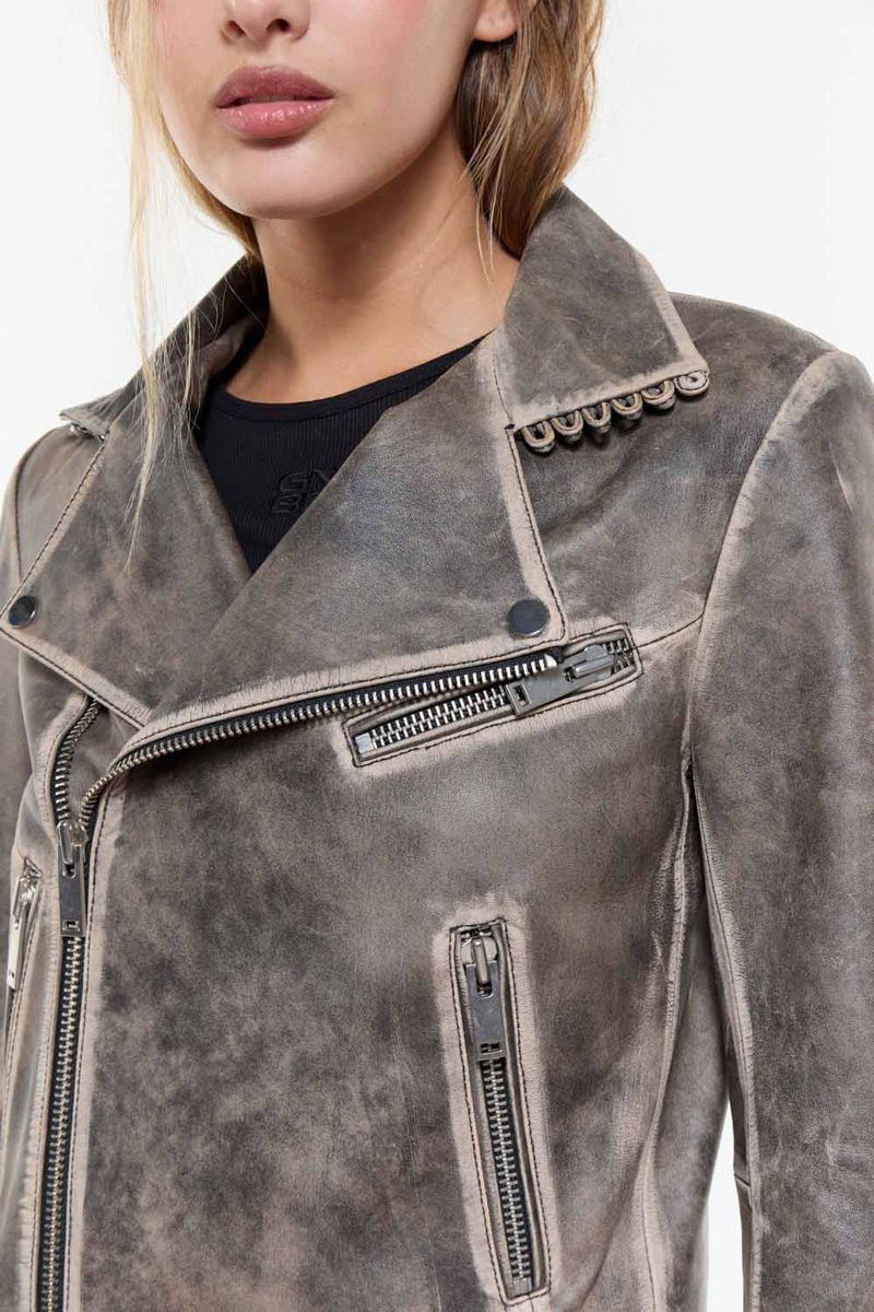 Campera-Bold