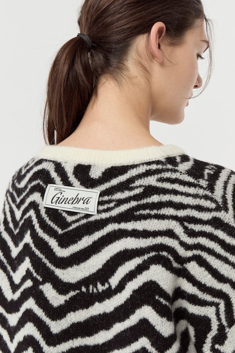 Sweater-Levi
